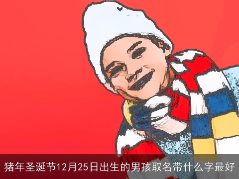 猪年圣诞节12月25日出生的男孩取名带什么字最好