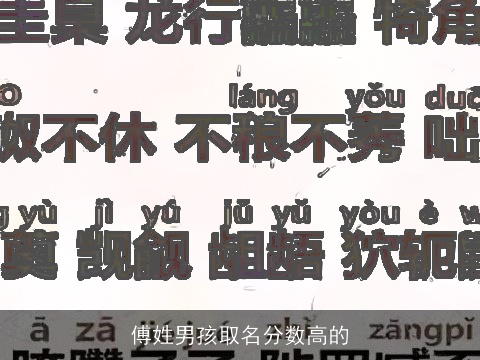 傅姓男孩取名分数高的