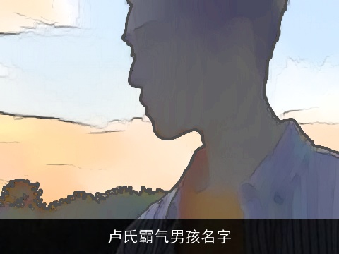 卢氏霸气男孩名字