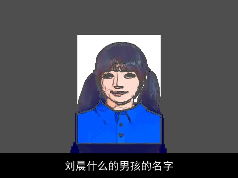 刘晨什么的男孩的名字