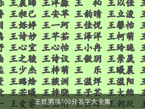 王姓男孩100分名字大全集