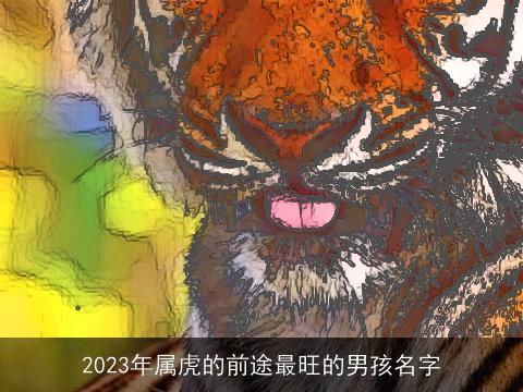 2023年属虎的前途最旺的男孩名字