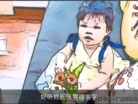 好听姓氏张男孩名字