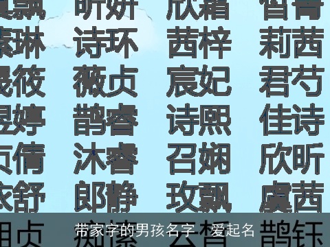 带家字的男孩名字  爱起名