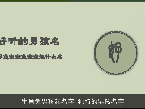 生肖兔男孩起名字 独特的男孩名字