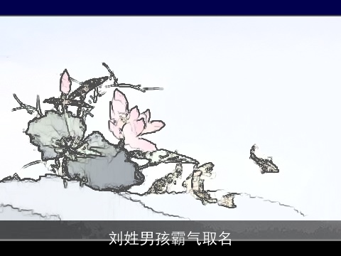 刘姓男孩霸气取名