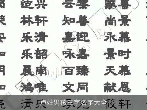 卢姓男孩三字名字大全