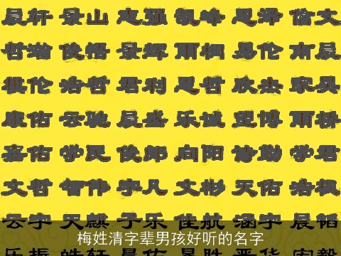 梅姓清字辈男孩好听的名字