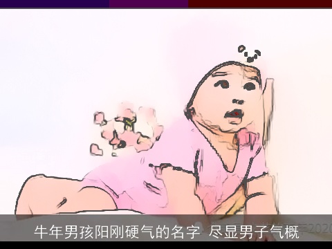 龙年男孩阳刚硬气的名字 尽显男子气概