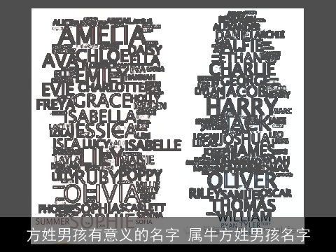 方姓男孩有意义的名字 属牛方姓男孩名字