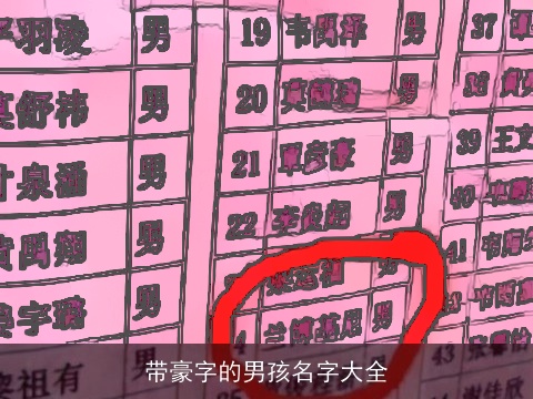 带豪字的男孩名字大全