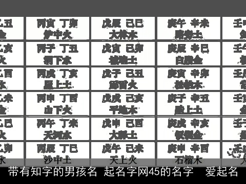带有知字的男孩名 起名字网45的名字  爱起名