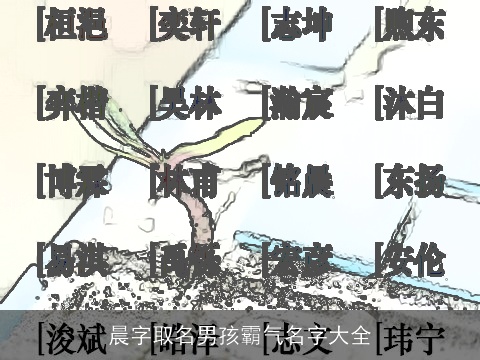 晨字取名男孩霸气名字大全