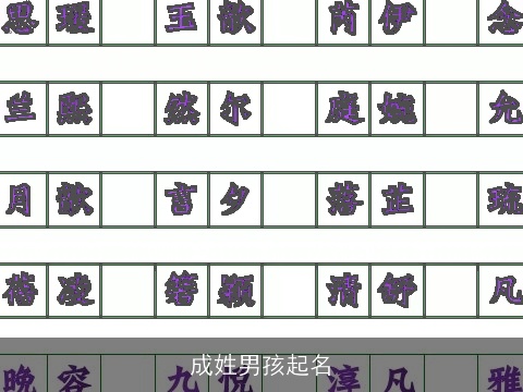 成姓男孩起名