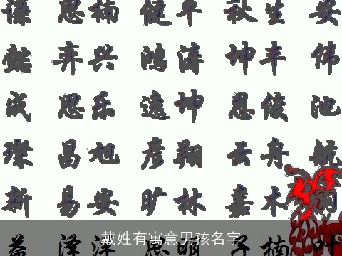 戴姓有寓意男孩名字