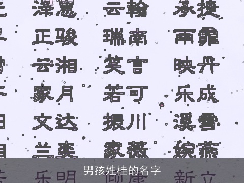 男孩姓桂的名字