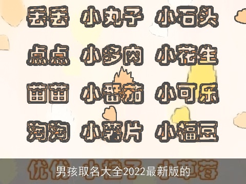 男孩取名大全2022最新版的