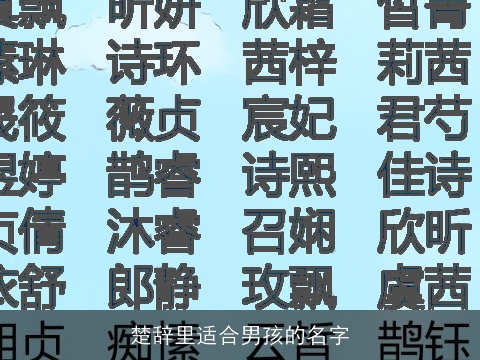 楚辞里适合男孩的名字