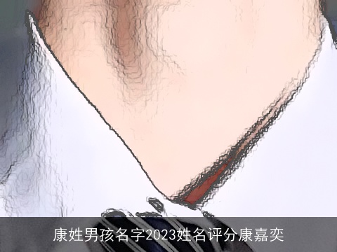 康姓男孩名字2023姓名评分康嘉奕