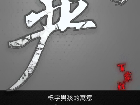 栎字男孩的寓意