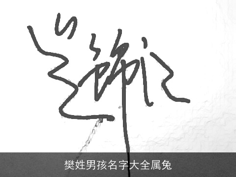 樊姓男孩名字大全属兔