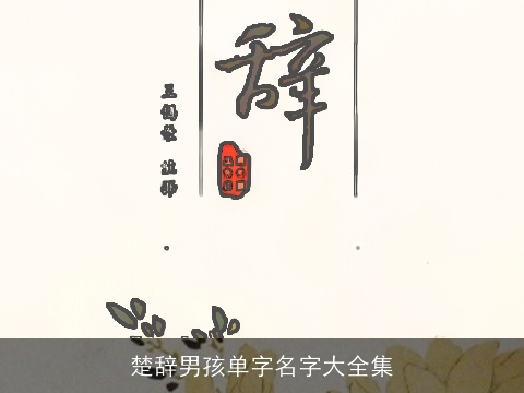 楚辞男孩单字名字大全集