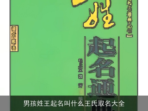 男孩姓王起名叫什么王氏取名大全