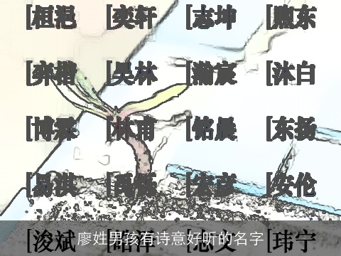 廖姓男孩有诗意好听的名字
