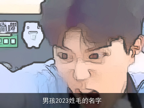 男孩2023姓毛的名字
