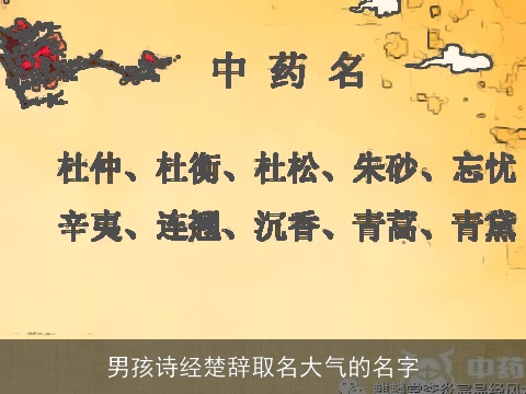 男孩诗经楚辞取名大气的名字