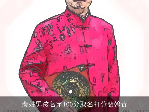 裴姓男孩名字100分取名打分裴翰垚