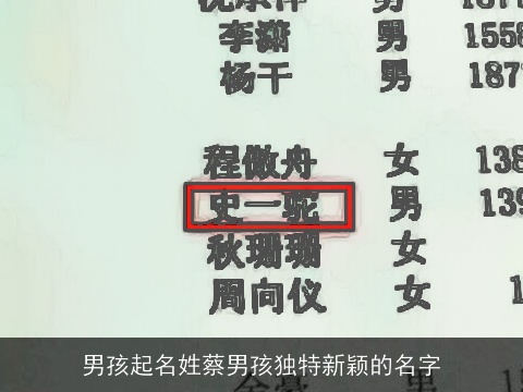 男孩起名姓蔡男孩独特新颖的名字