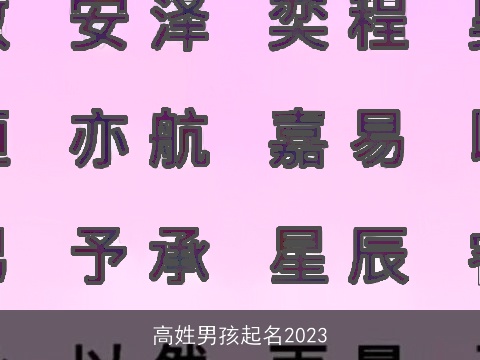 高姓男孩起名2023
