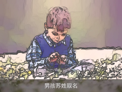 男孩苏姓取名