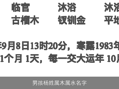 男孩杨姓属木属水名字