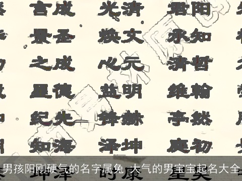 男孩阳刚硬气的名字属兔 大气的男宝宝起名大全