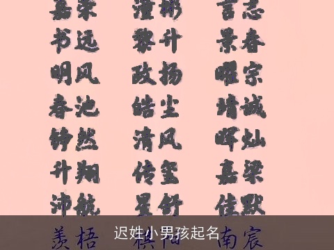 迟姓小男孩起名