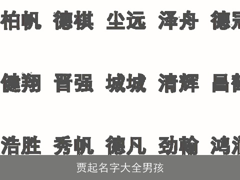 贾起名字大全男孩