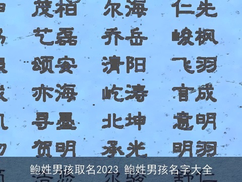鲍姓男孩取名2023 鲍姓男孩名字大全
