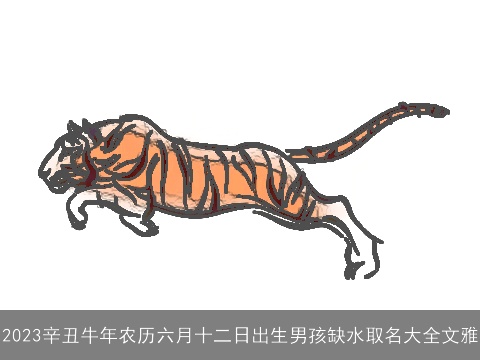 2023辛丑牛年农历六月十二日出生男孩缺水取名大全文雅