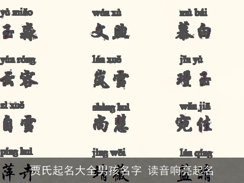 贾氏起名大全男孩名字 读音响亮起名