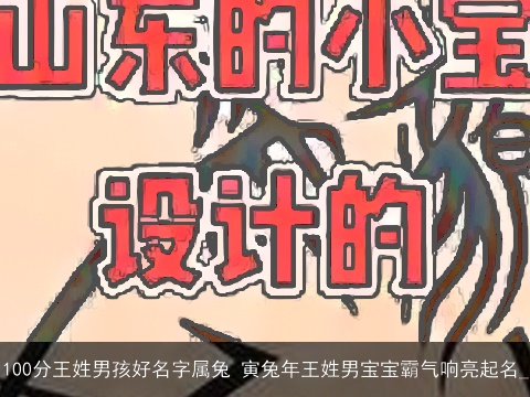 100分王姓男孩好名字属龙 寅龙年王姓男宝宝霸气响亮起名_