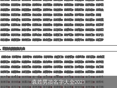 袁姓男孩名字大全2021