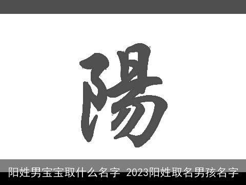 阳姓男宝宝取什么名字 2023阳姓取名男孩名字