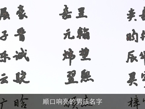 顺口响亮的男孩名字
