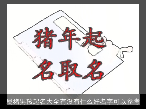 属猪男孩起名大全有没有什么好名字可以参考