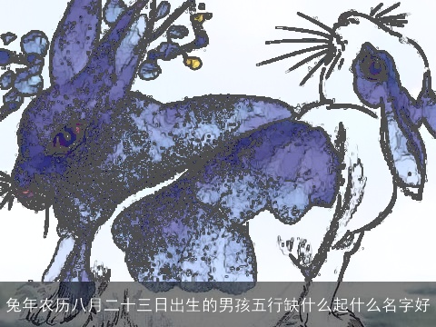 兔年农历八月二十三日出生的男孩五行缺什么起什么名字好