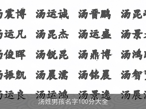 汤姓男孩名字100分大全
