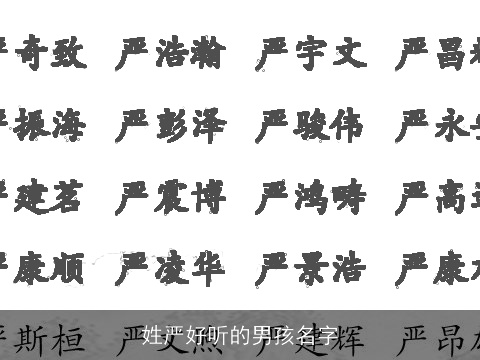姓严好听的男孩名字