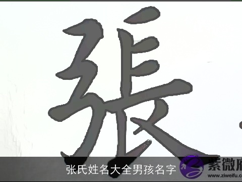 张氏姓名大全男孩名字